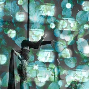 Meet your Posher, Rose